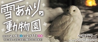 asahikawa_13.jpg