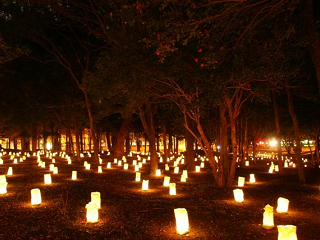 beppu_lightup1.png
