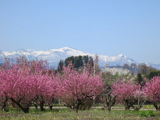 fukushima28_01.jpg
