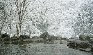 gunma_92.jpg
