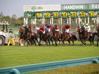 hyogo_02.jpg