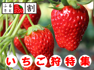 ichigo_00.png