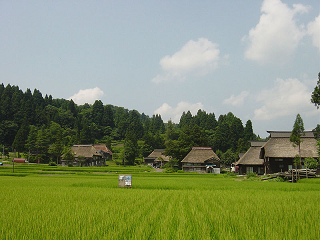 kashiwazaki-3.png