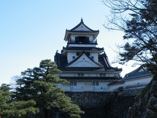 kouchi_02.jpg
