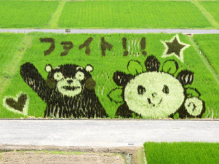kumamon.png