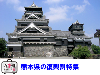 kumamoto_fukkouwari.png