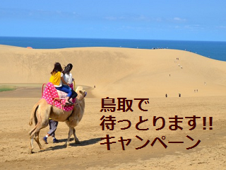 mattorimasu.png