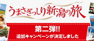 niigata_31.png