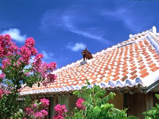 okinawa_41.jpg