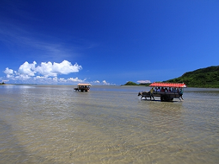 okinawa_tabipass1.png