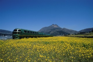 ooita-4.jpg