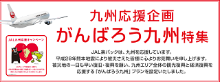 rakuten_ouen1.png