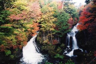tochigi_42.jpg