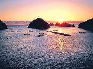 tokushima_13.jpg