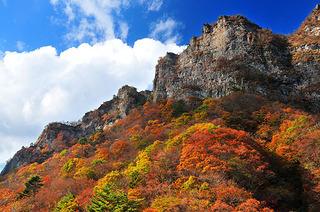 tomioka_03.jpg