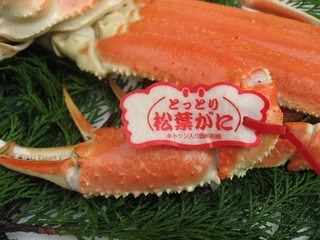 tottori_51.jpg