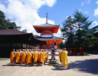 wakayama_12.jpg