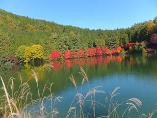 yamanashi_13.jpg